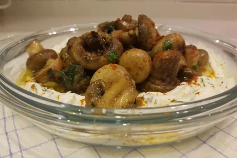 Yoğurtlu Mantar Mezesi