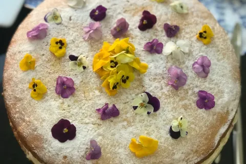 Çilekli Alman Pastası