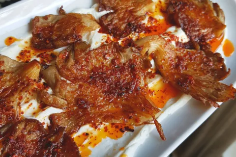 Yoğurtlu Acılı İstiridye Mantarı