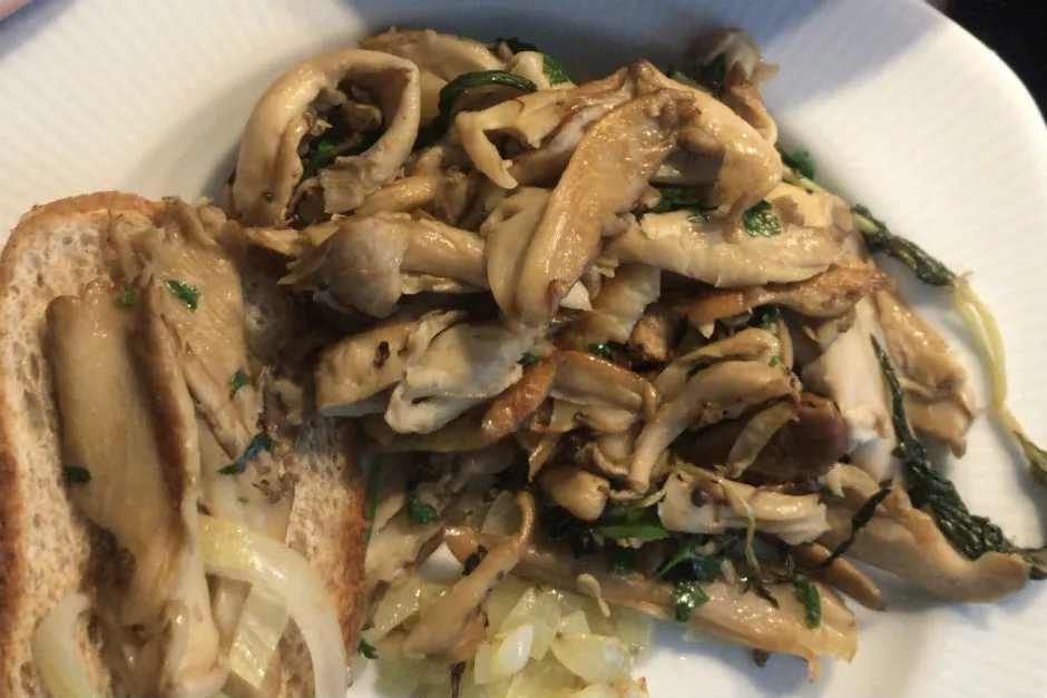 İstiridye Mantarı Sotesi tarifi