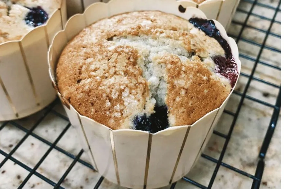 Yaban Mersinli Muffin tarifi